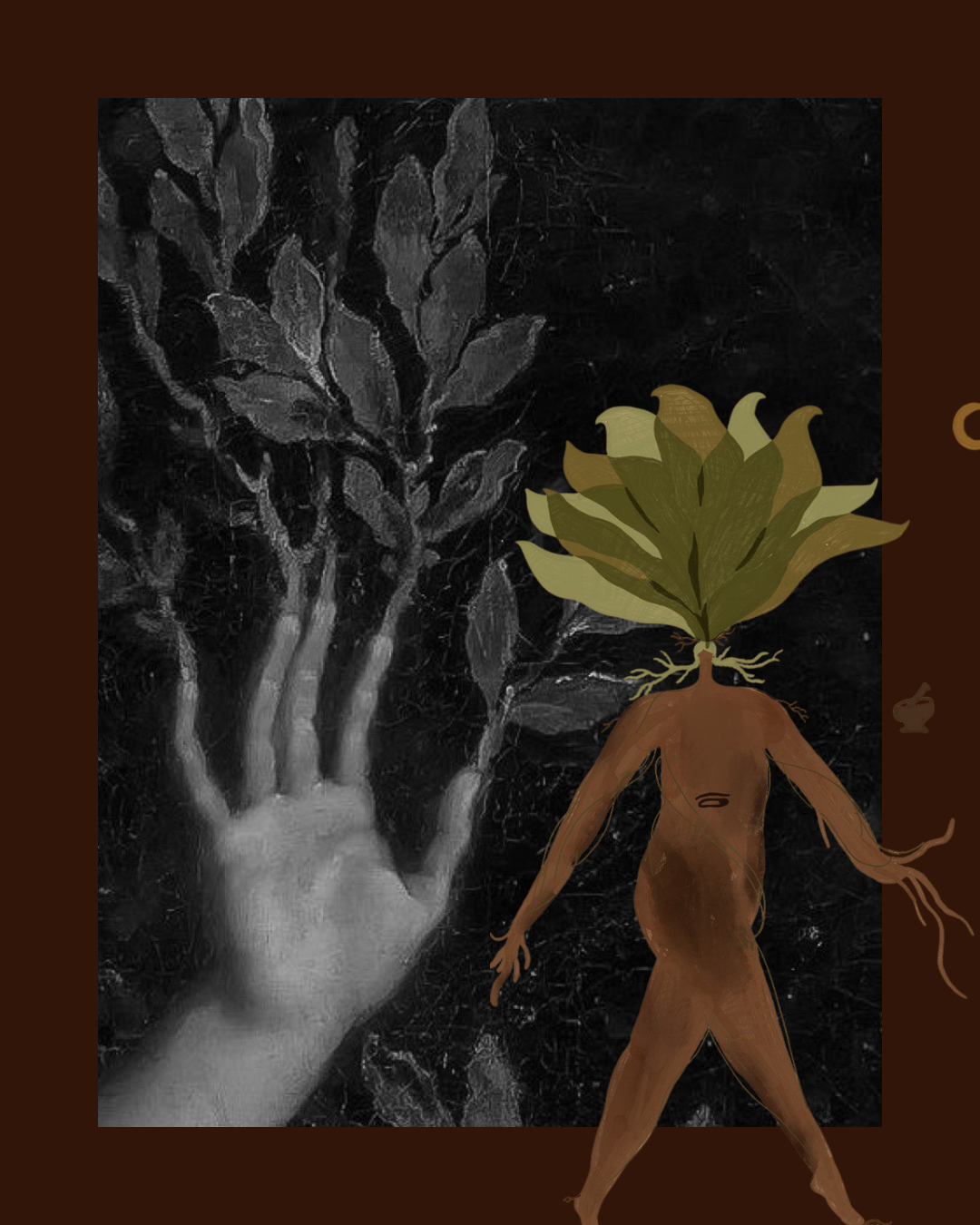 Lunaria — image 4